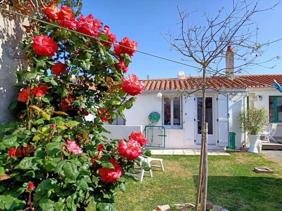 Vila La Maison Du Marin Saint-Gilles-Croix-de-Vie Exteriér fotografie